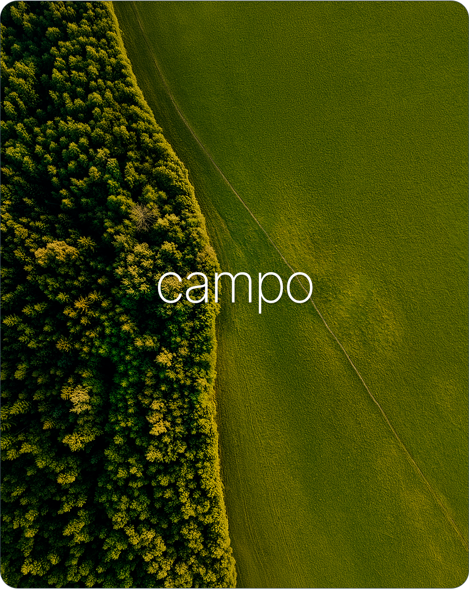 slide_campo_2